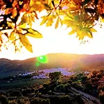 Silenza B&b, Charme, Comfort E Relax Nel Gargano Hotel *