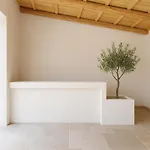 Silenza B&b, Charme, Comfort E Relax Nel Gargano * Маттината