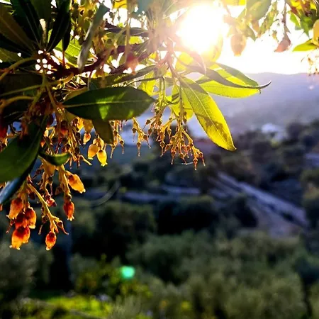 Silenza B&b, Charme, Comfort E Relax Nel Gargano