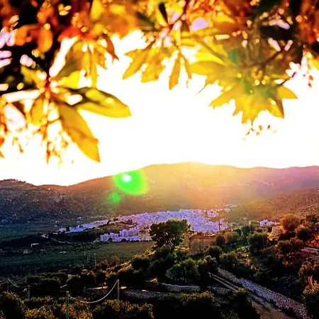 Silenza B&b, Charme, Comfort E Relax Nel Gargano Hotel *